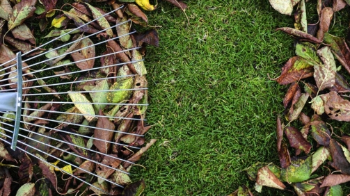 garten_im_oktober_titelbild