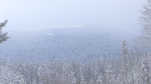 haut_im_winter_titel