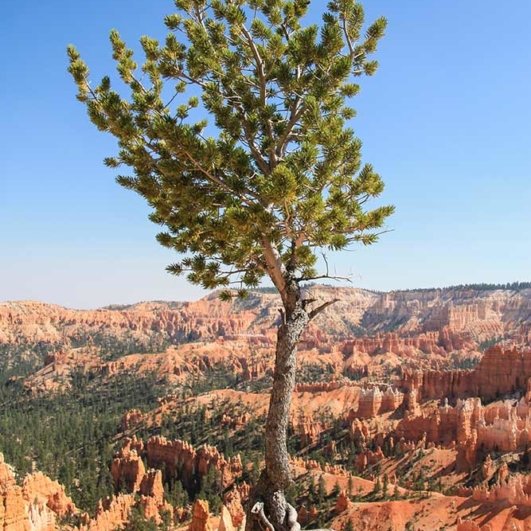 Bryce Canyon