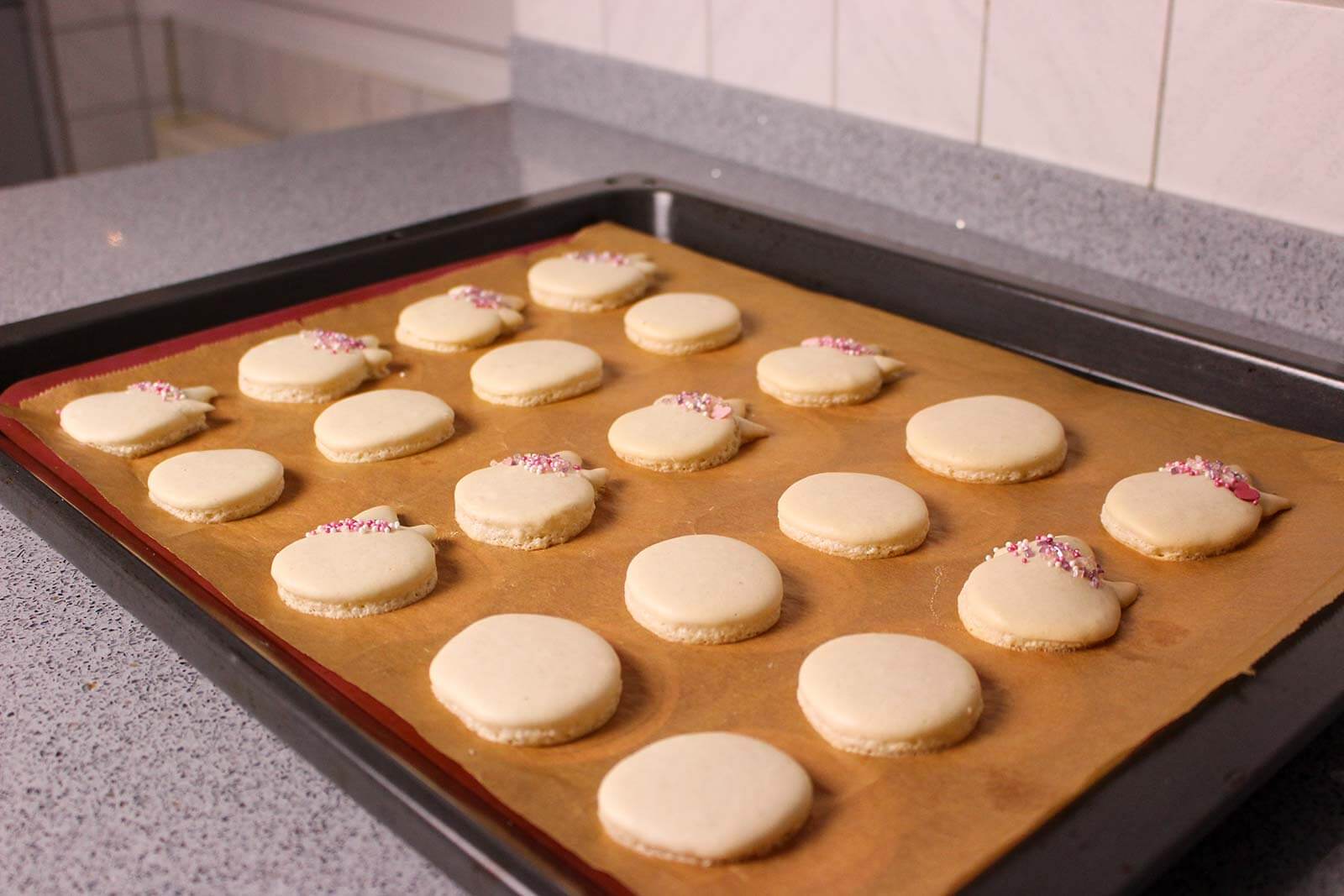 Fertig gepackene Macarons auf Backblech.