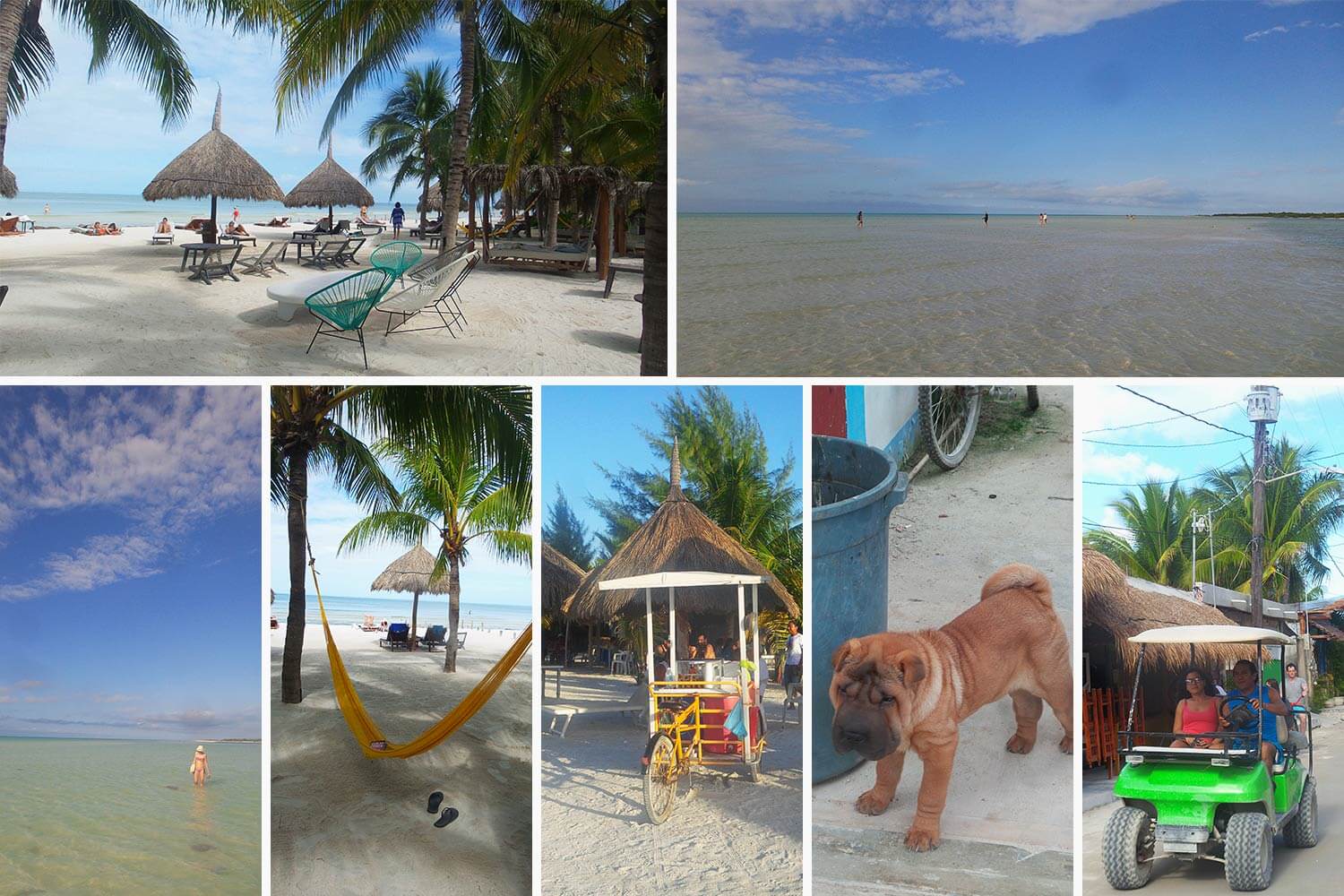 Reisebericht_mexiko_kollage_Holbox