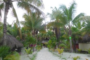 Reisebericht_mexiko_tulum_Zazil_Kin