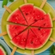Wassermelone_sommersalate_titel